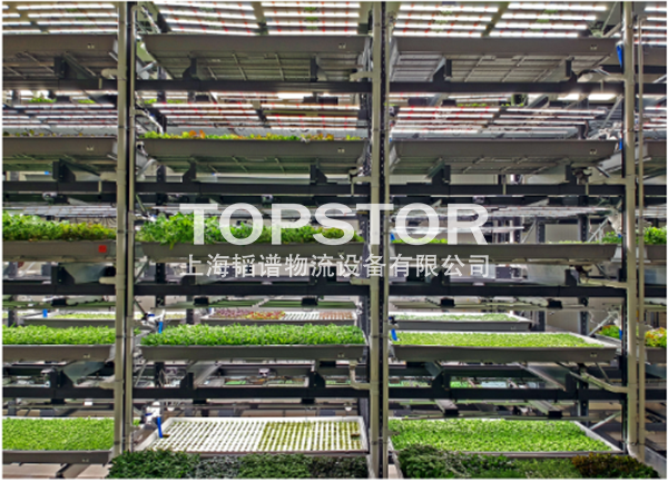 1595941140288972.png image.png